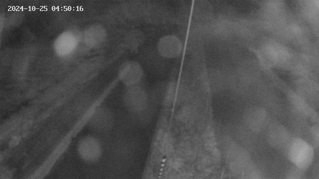 area9-20241025045018.jpg
