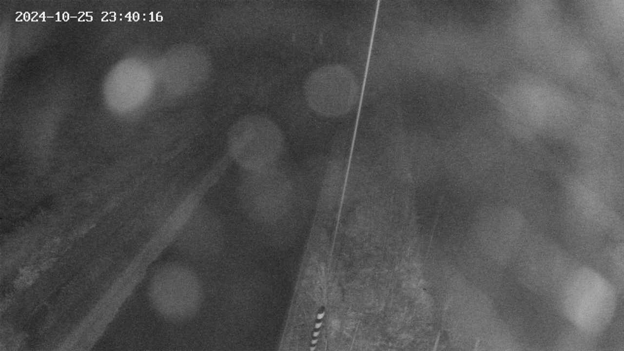 area9-20241025234017.jpg