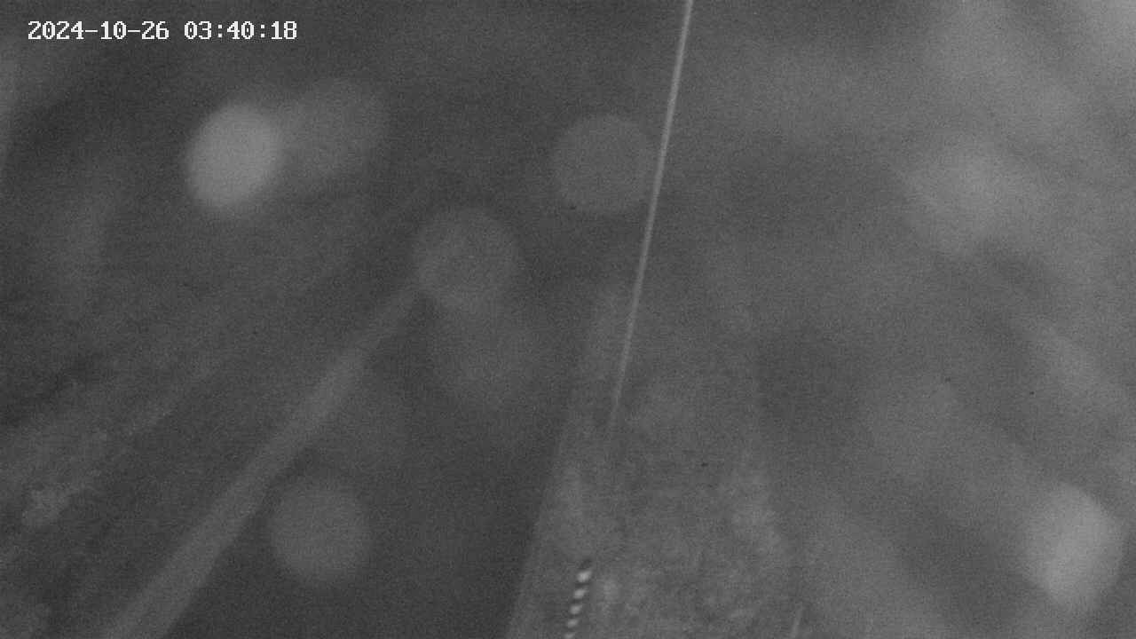 area9-20241026034019.jpg
