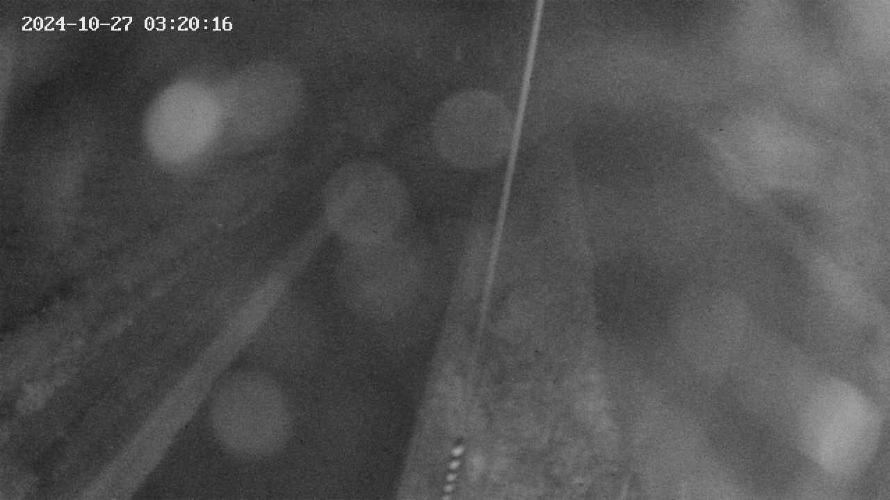 area9-20241027032018.jpg