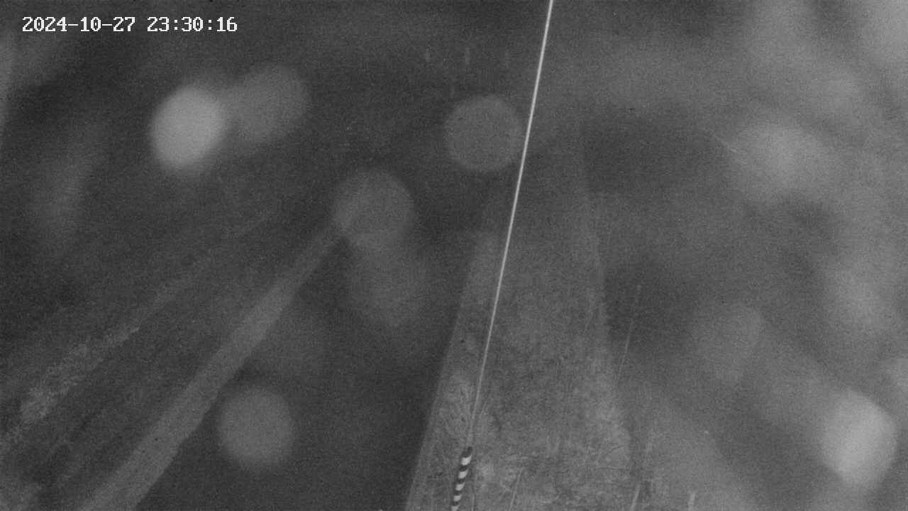 area9-20241027233017.jpg
