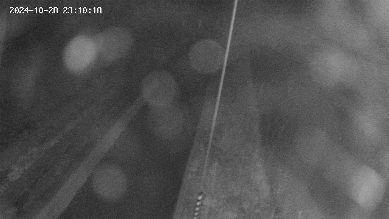 area9-20241028231019.jpg