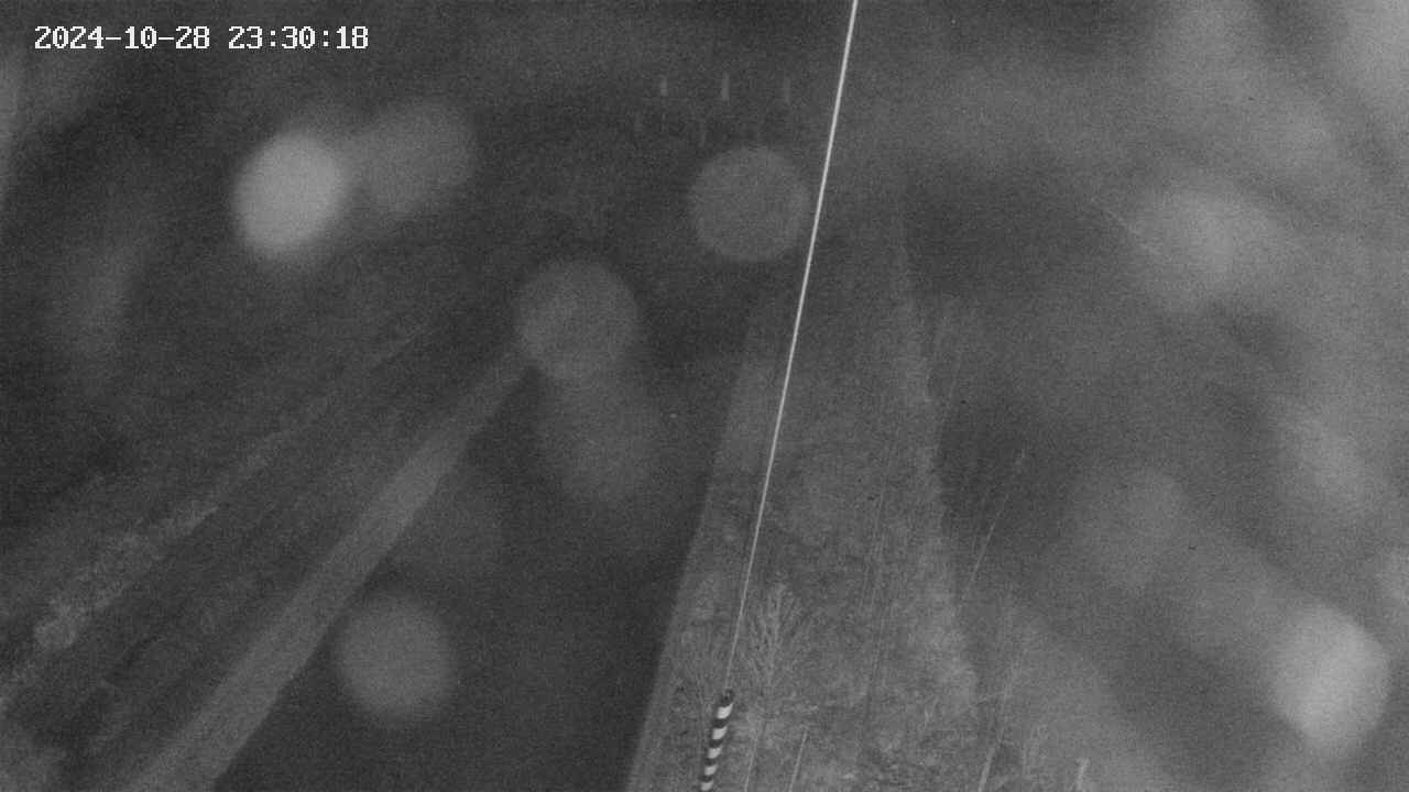 area9-20241028233018.jpg