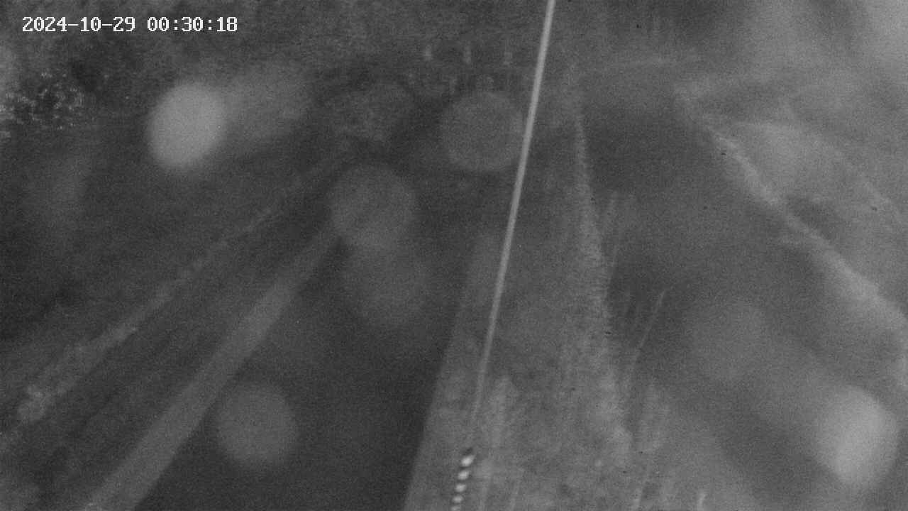 area9-20241029003019.jpg