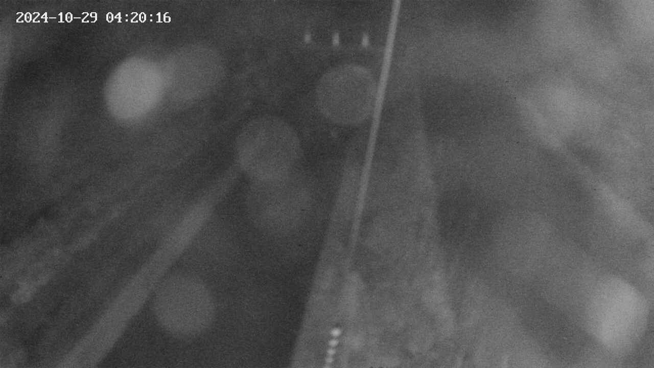 area9-20241029042017.jpg