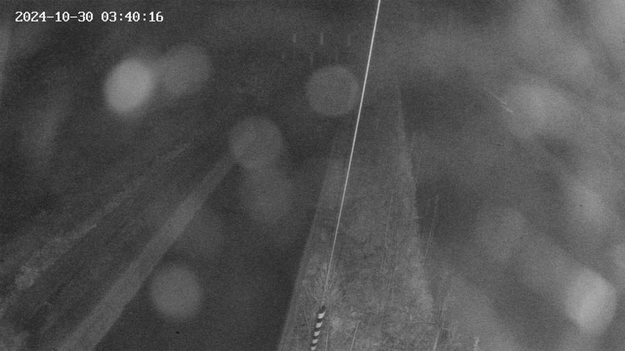 area9-20241030034017.jpg