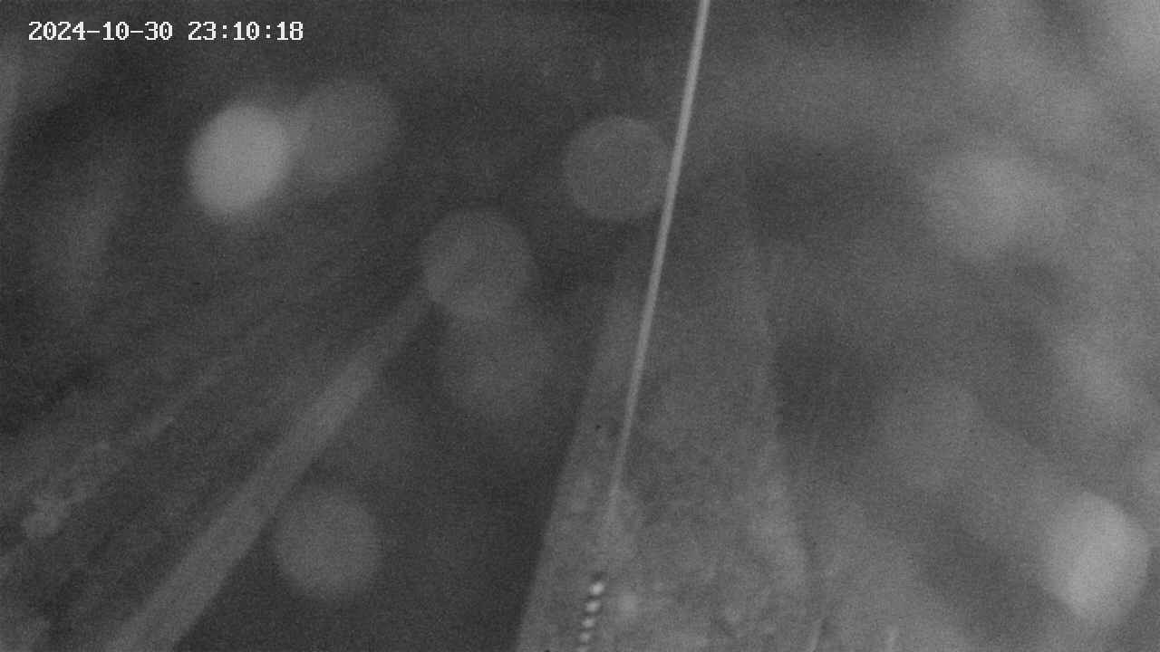 area9-20241030231019.jpg