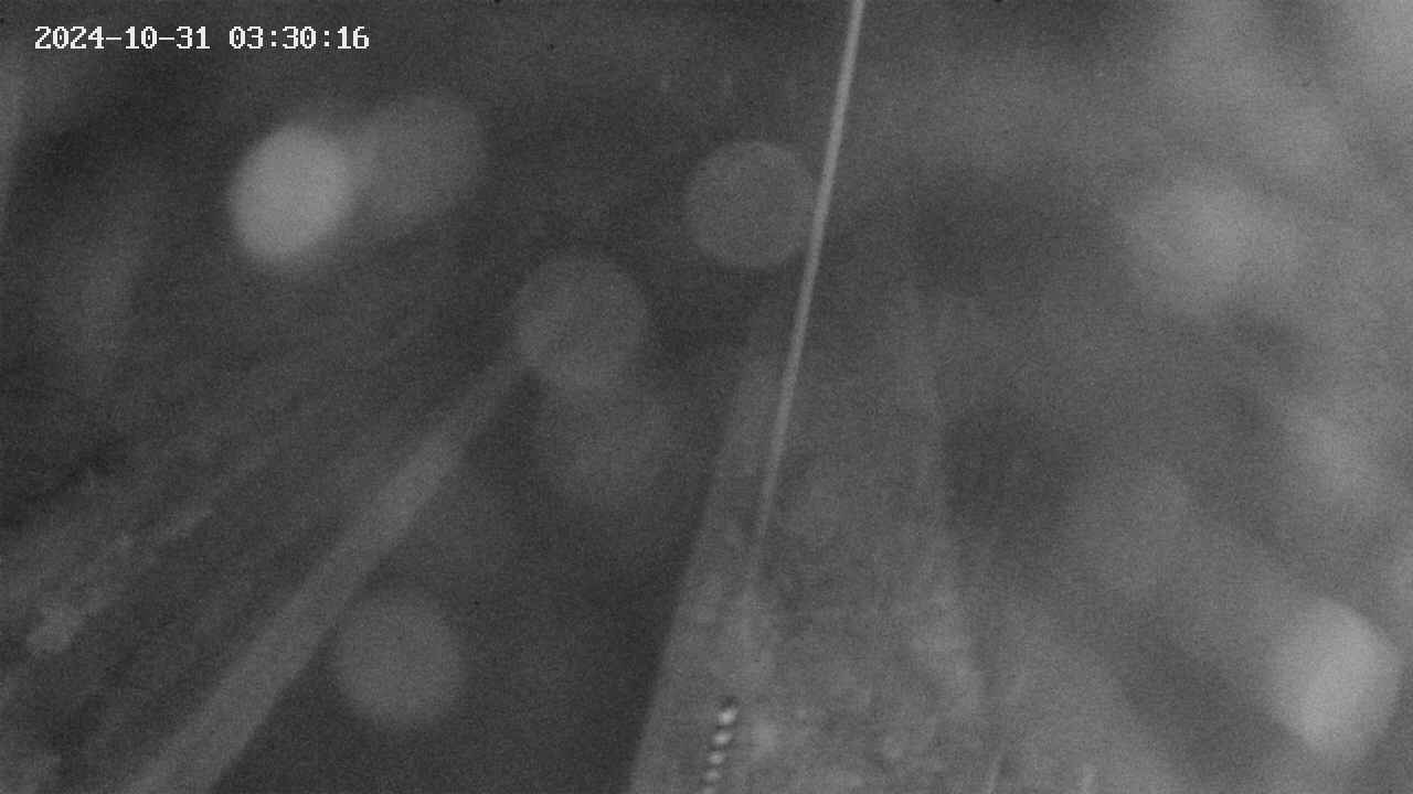 area9-20241031033017.jpg