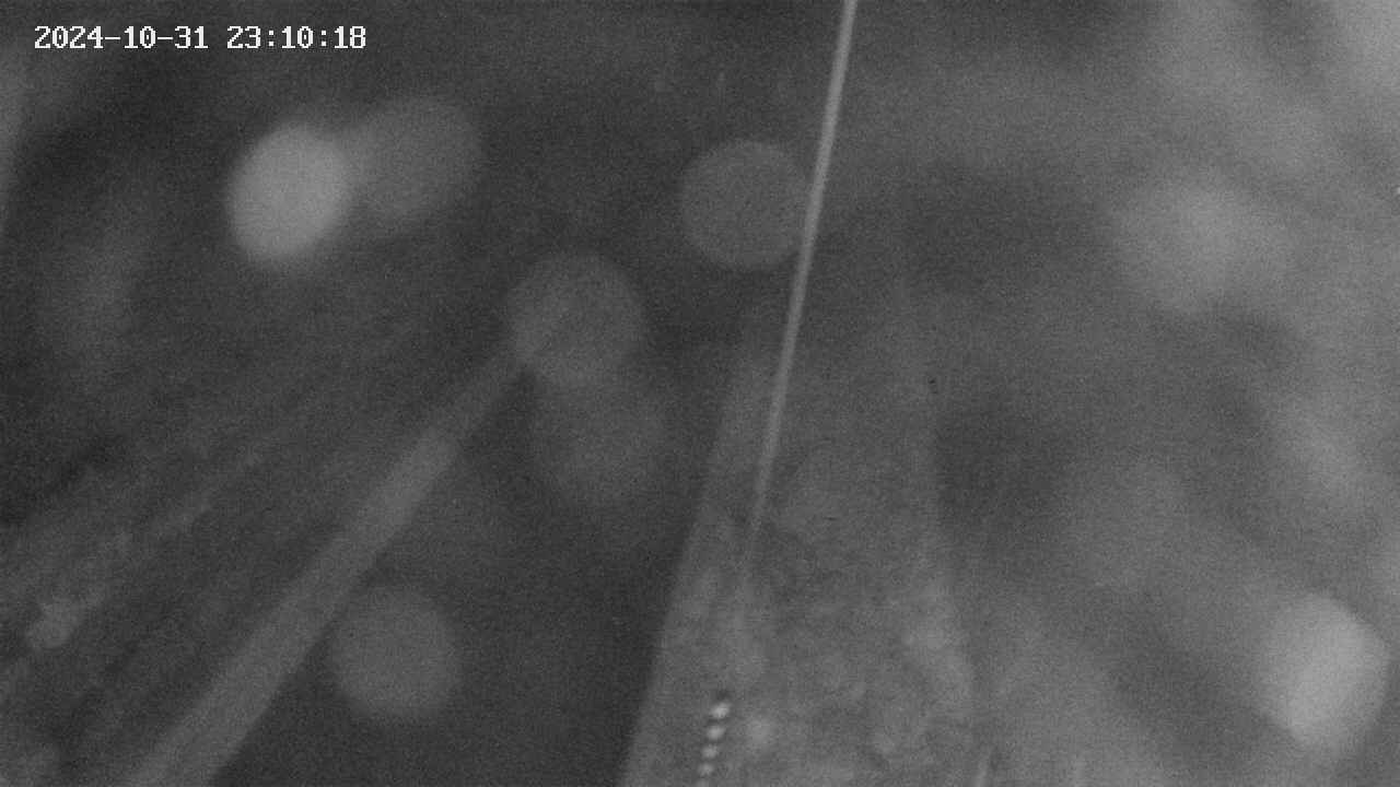 area9-20241031231019.jpg