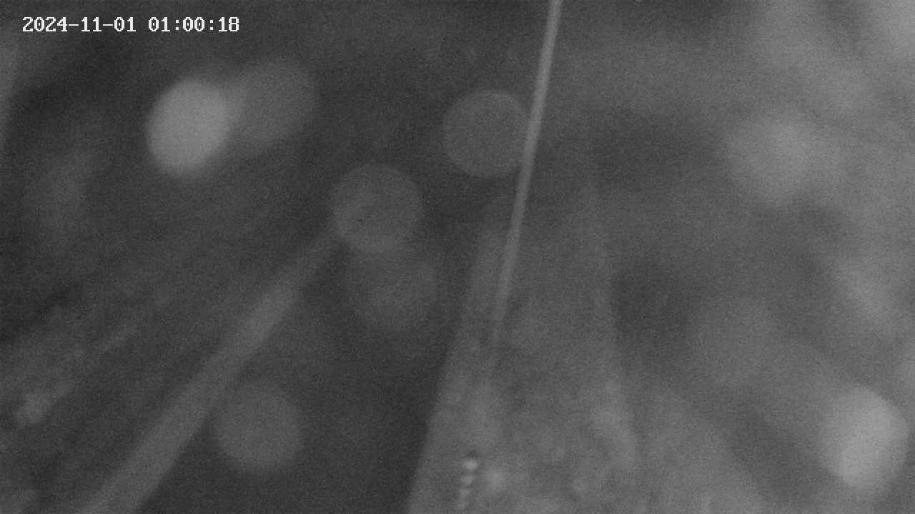area9-20241101010018.jpg