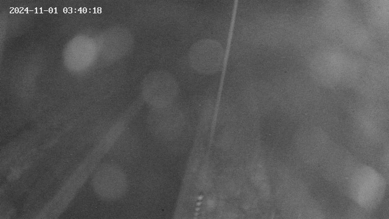 area9-20241101034019.jpg