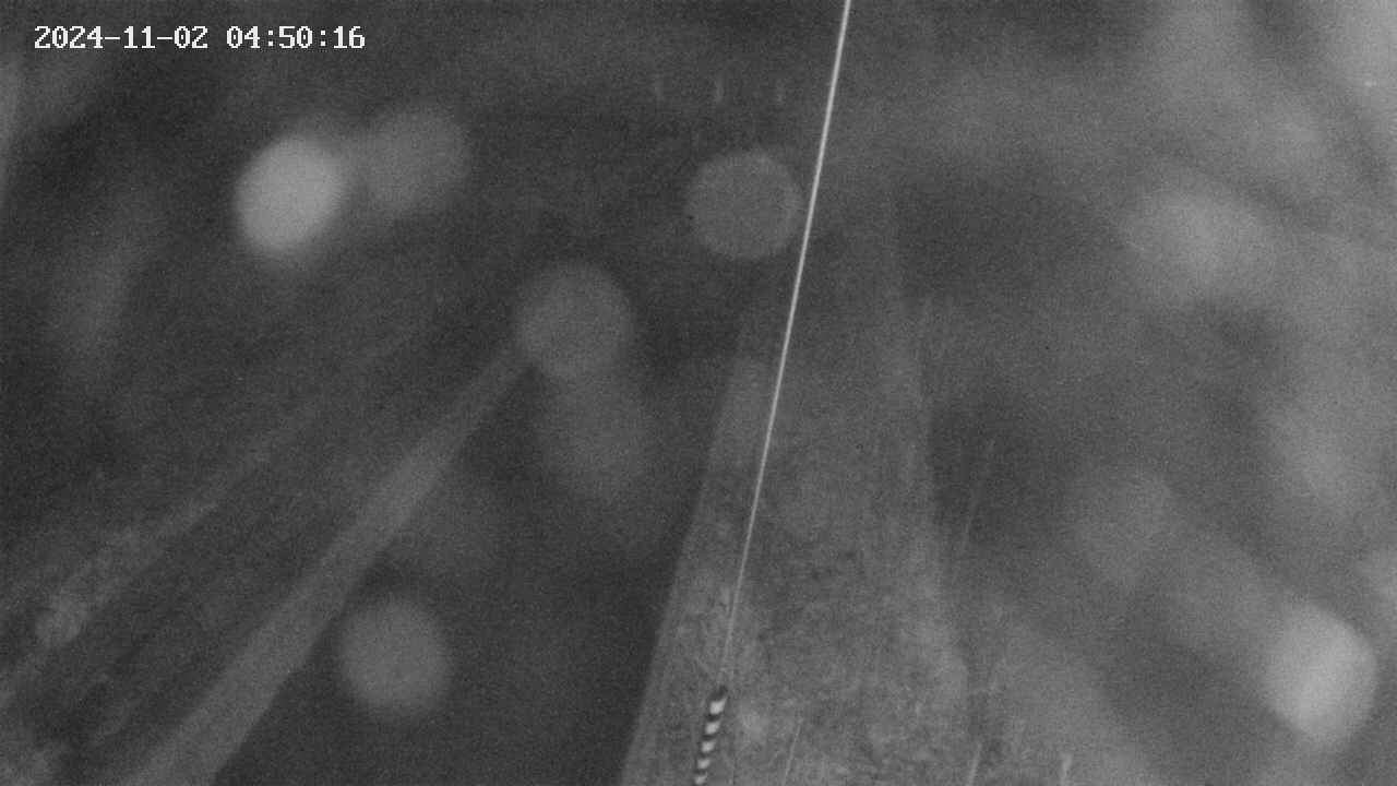 area9-20241102045017.jpg