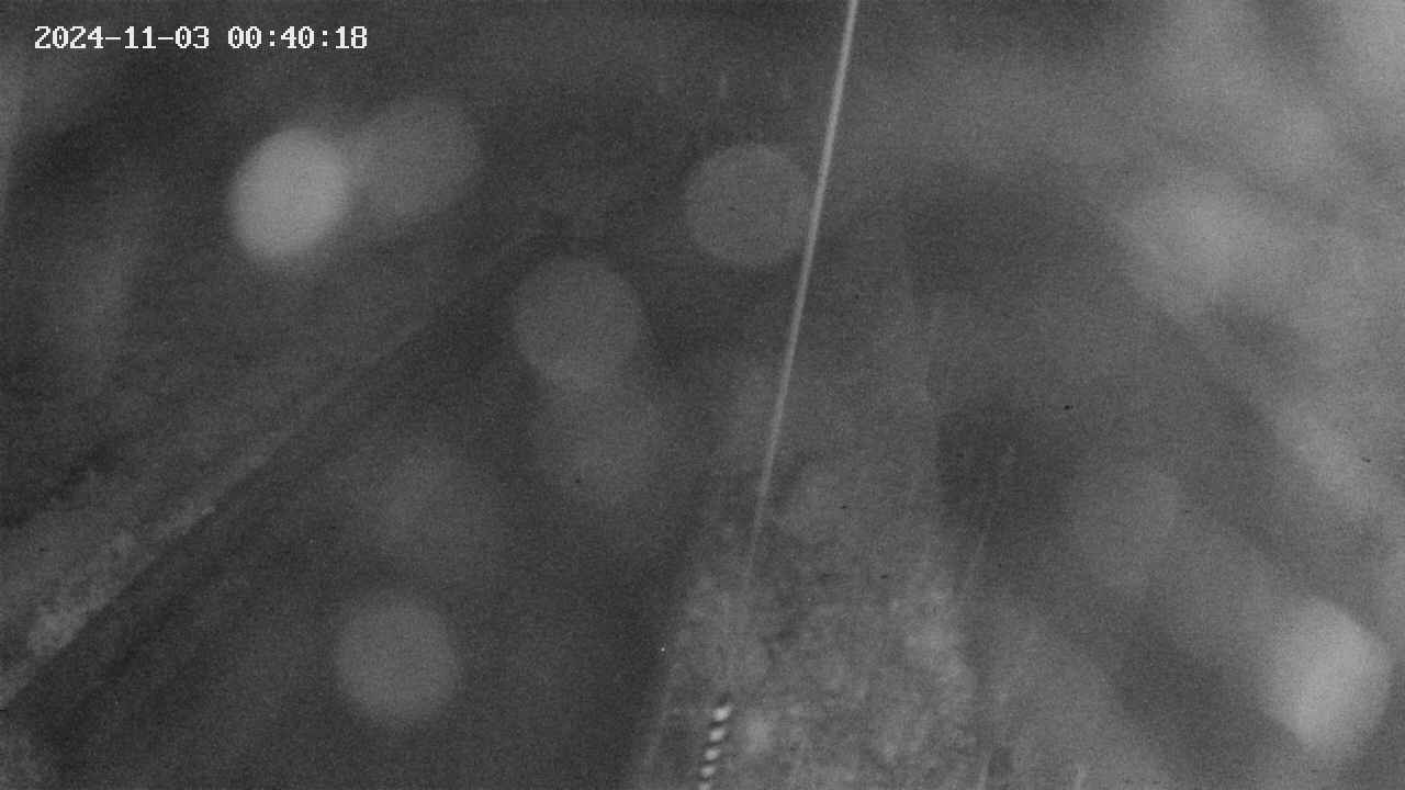 area9-20241103004019.jpg