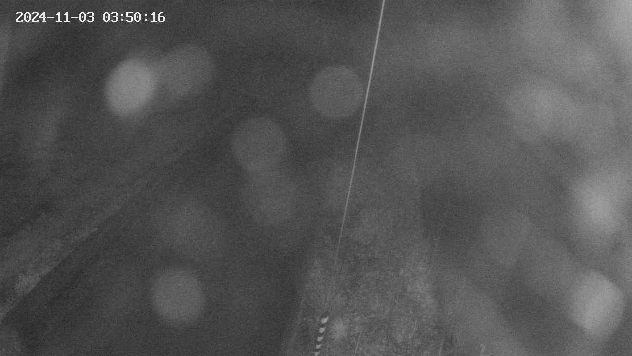 area9-20241103035017.jpg