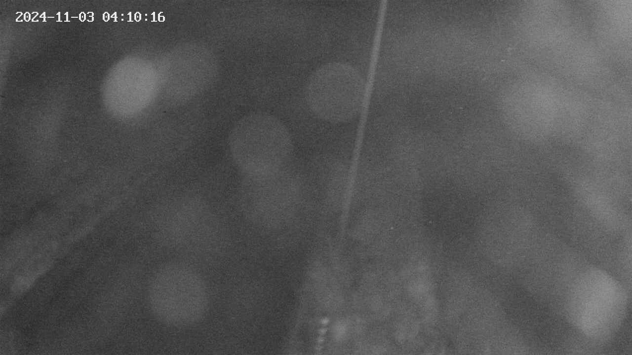 area9-20241103041018.jpg