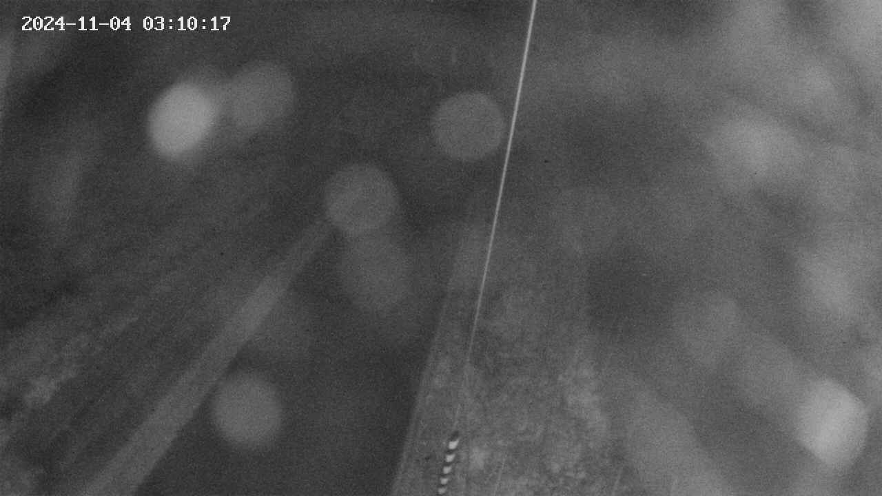 area9-20241104031018.jpg