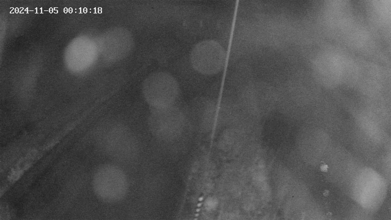 area9-20241105001019.jpg