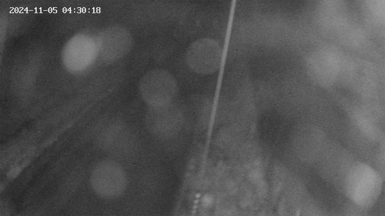 area9-20241105043018.jpg