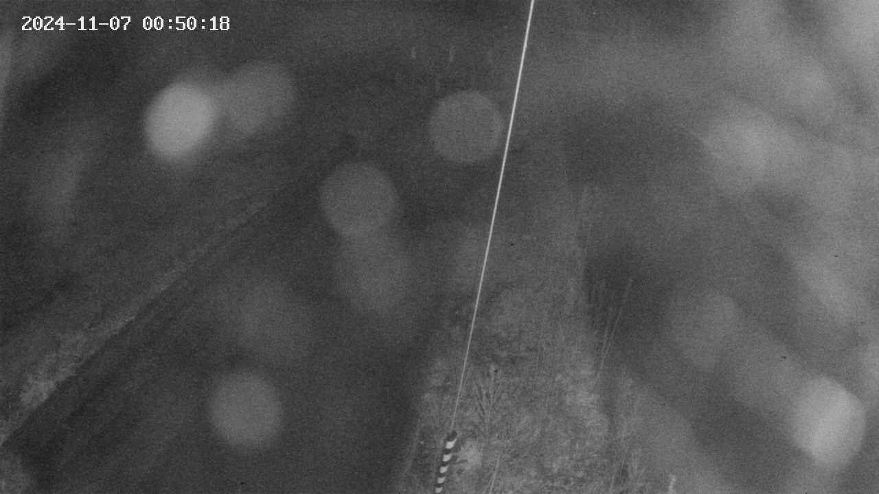 area9-20241107005019.jpg