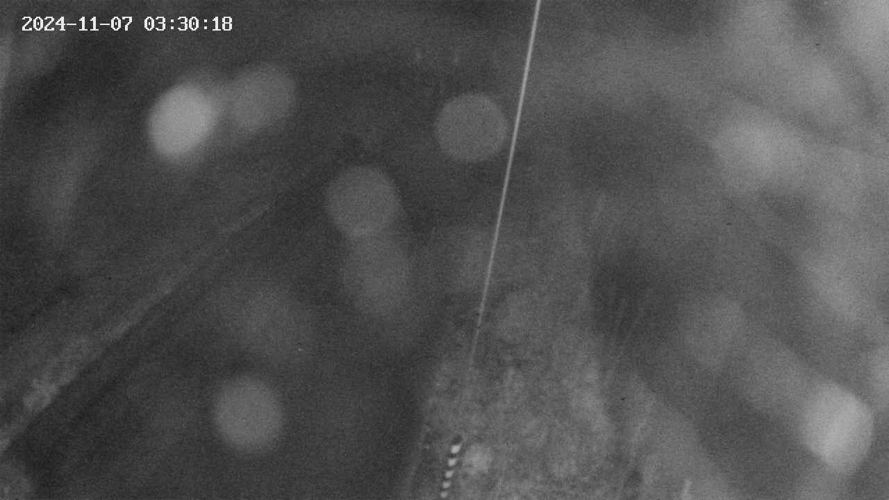 area9-20241107033019.jpg