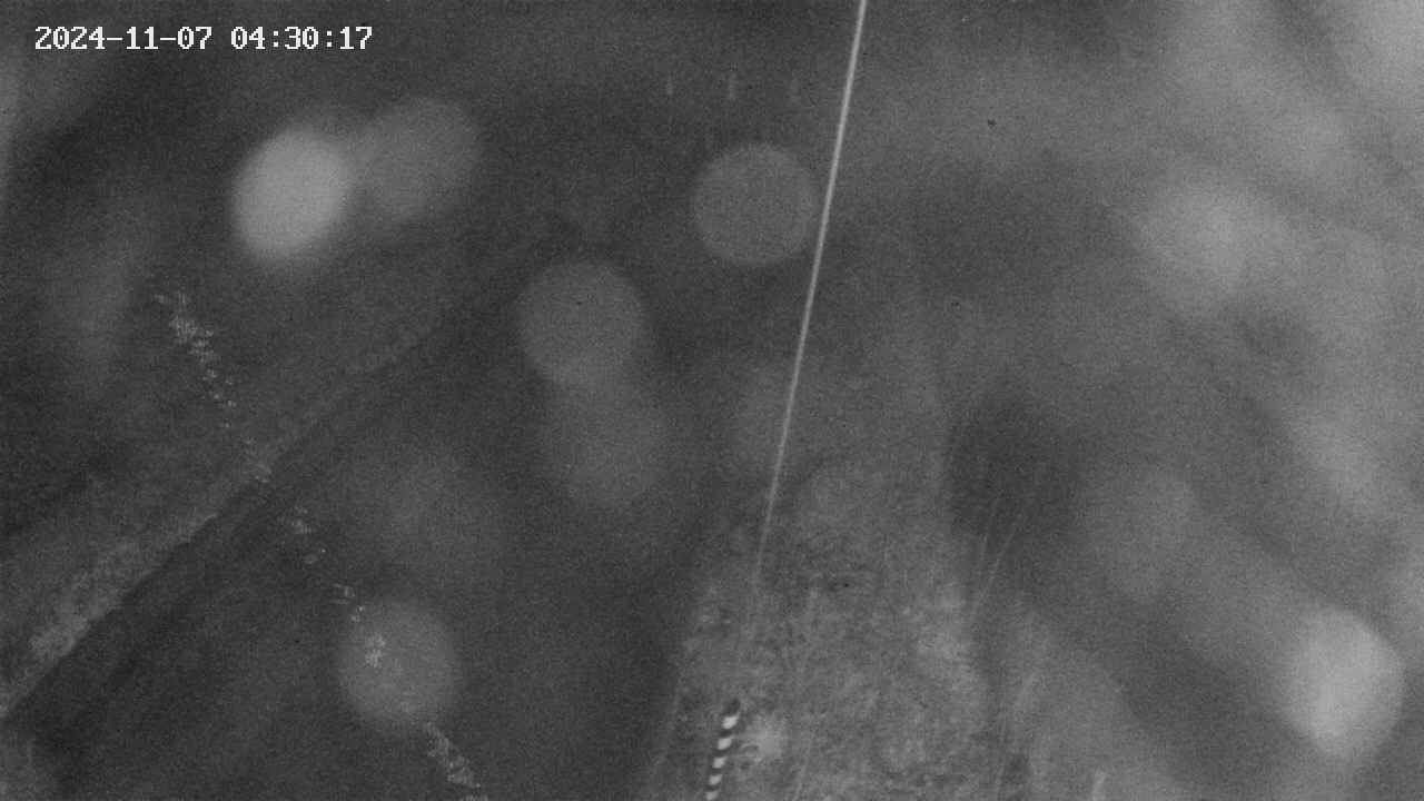 area9-20241107043018.jpg