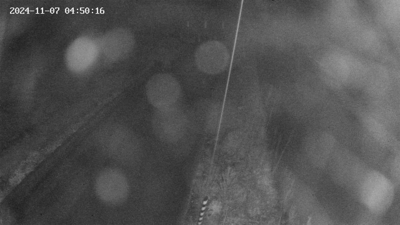 area9-20241107045018.jpg