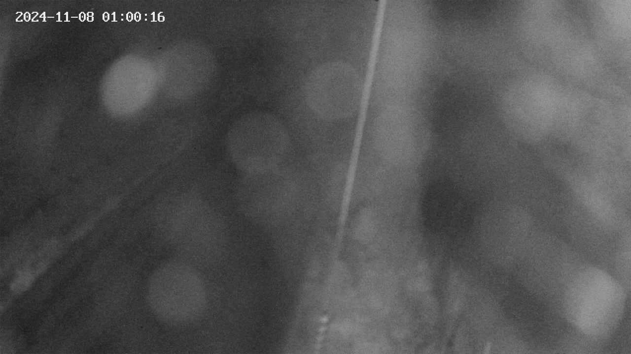 area9-20241108010017.jpg