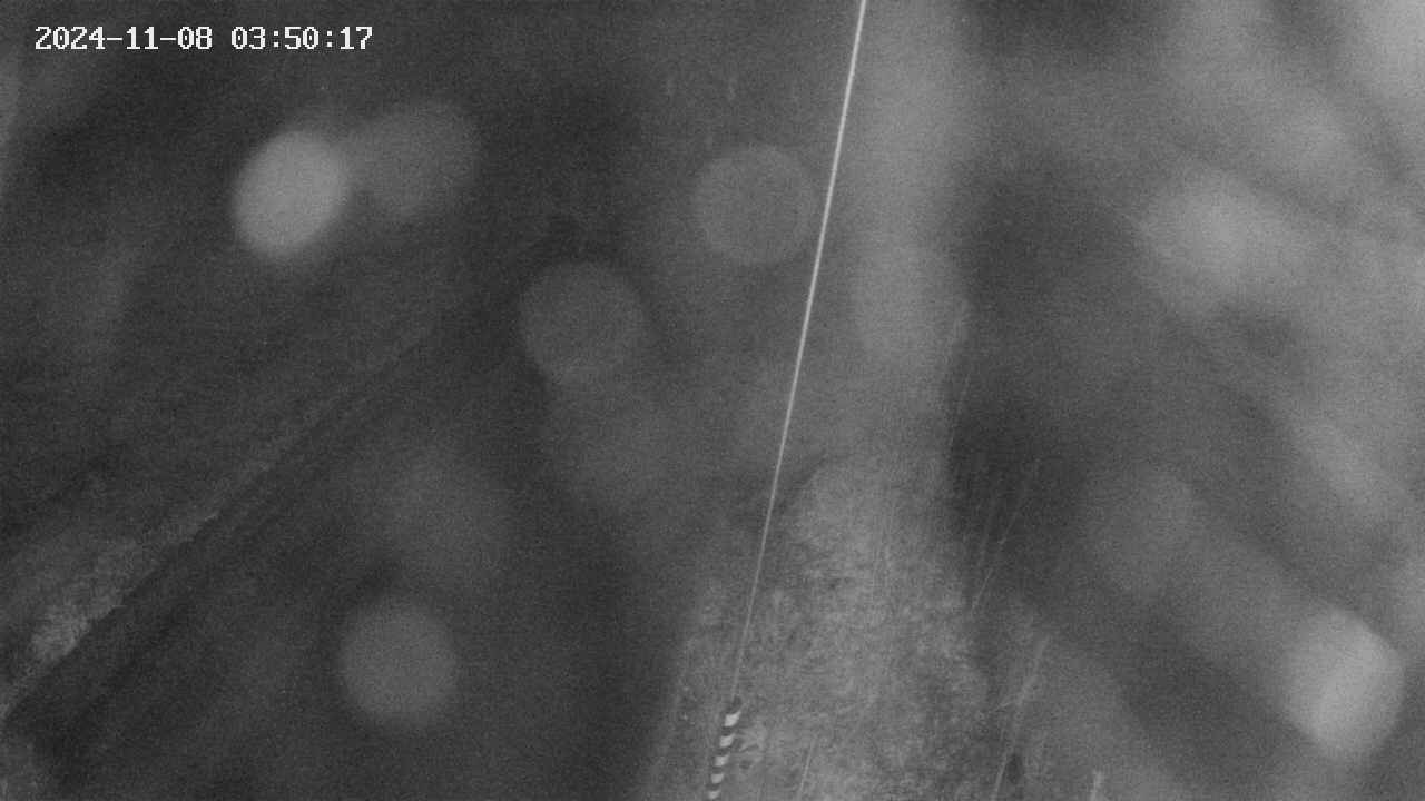 area9-20241108035019.jpg