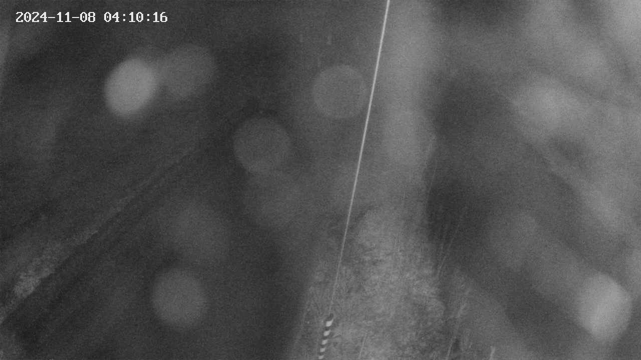 area9-20241108041017.jpg