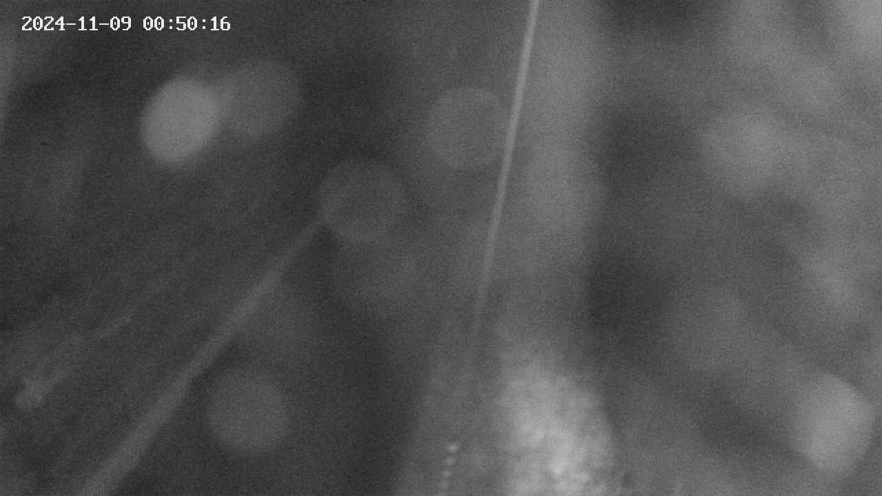 area9-20241109005017.jpg