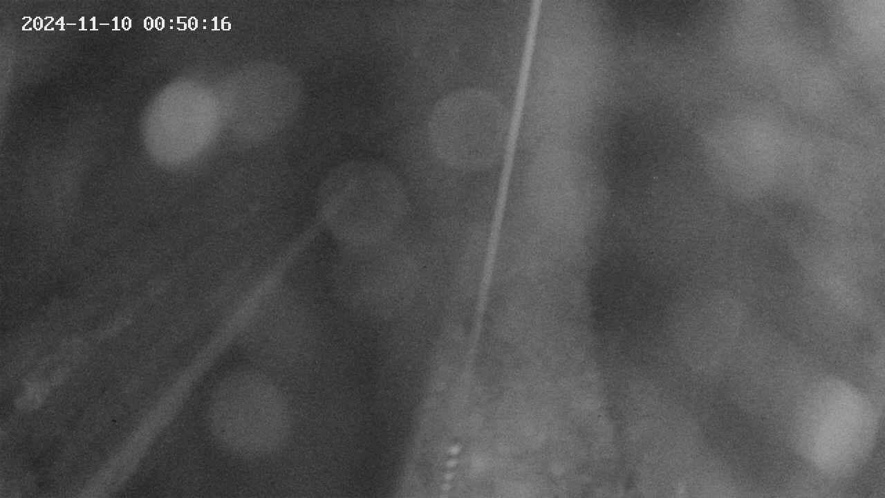 area9-20241110005017.jpg