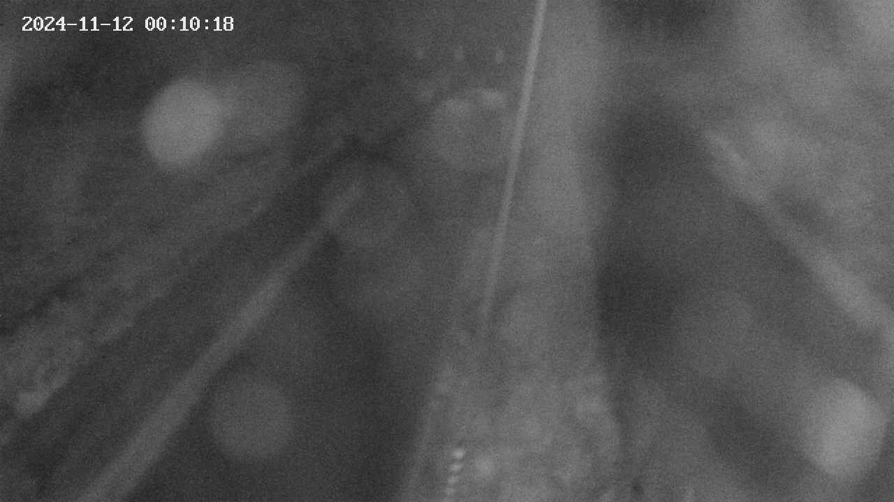 area9-20241112001019.jpg