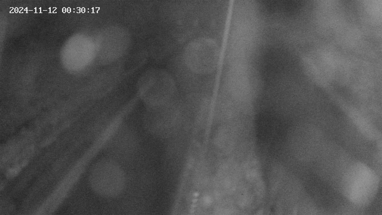area9-20241112003018.jpg