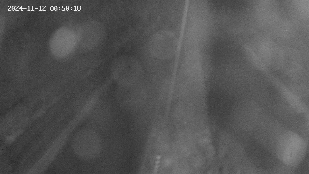 area9-20241112005019.jpg