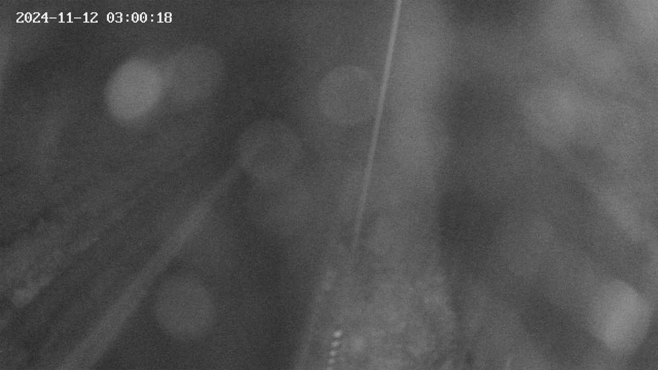area9-20241112030019.jpg