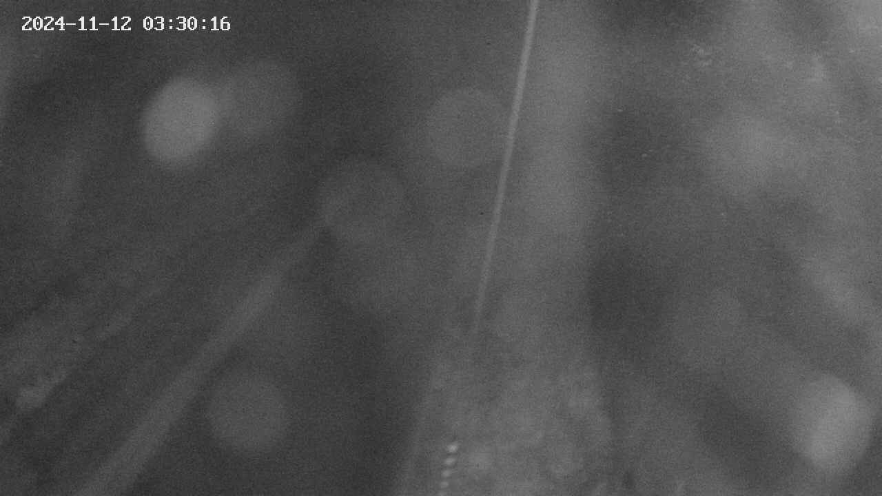 area9-20241112033017.jpg
