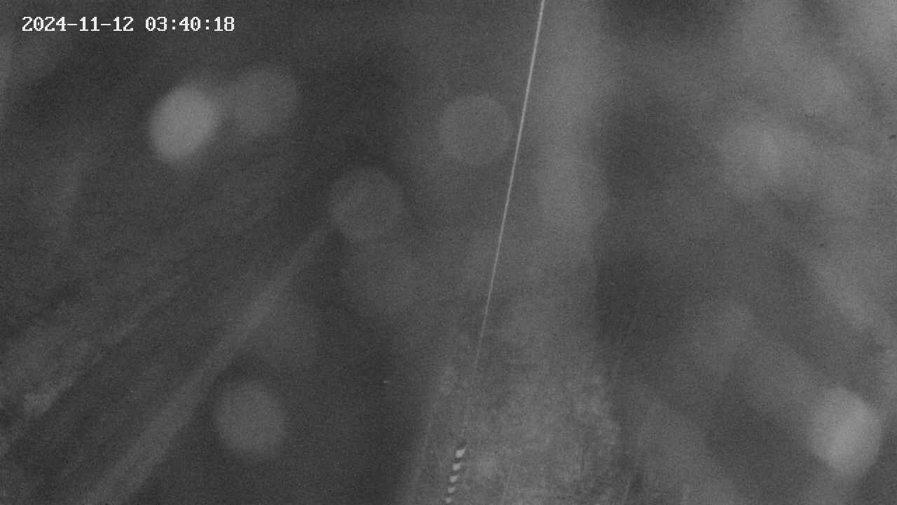 area9-20241112034019.jpg