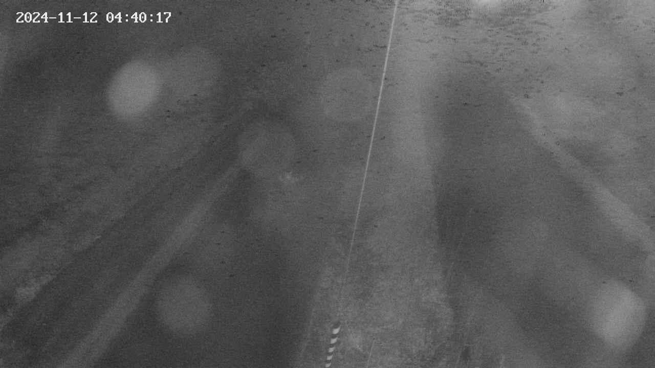 area9-20241112044018.jpg