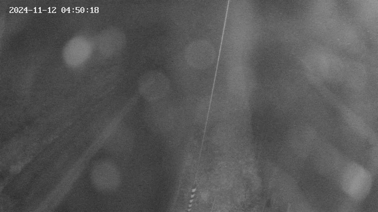 area9-20241112045019.jpg