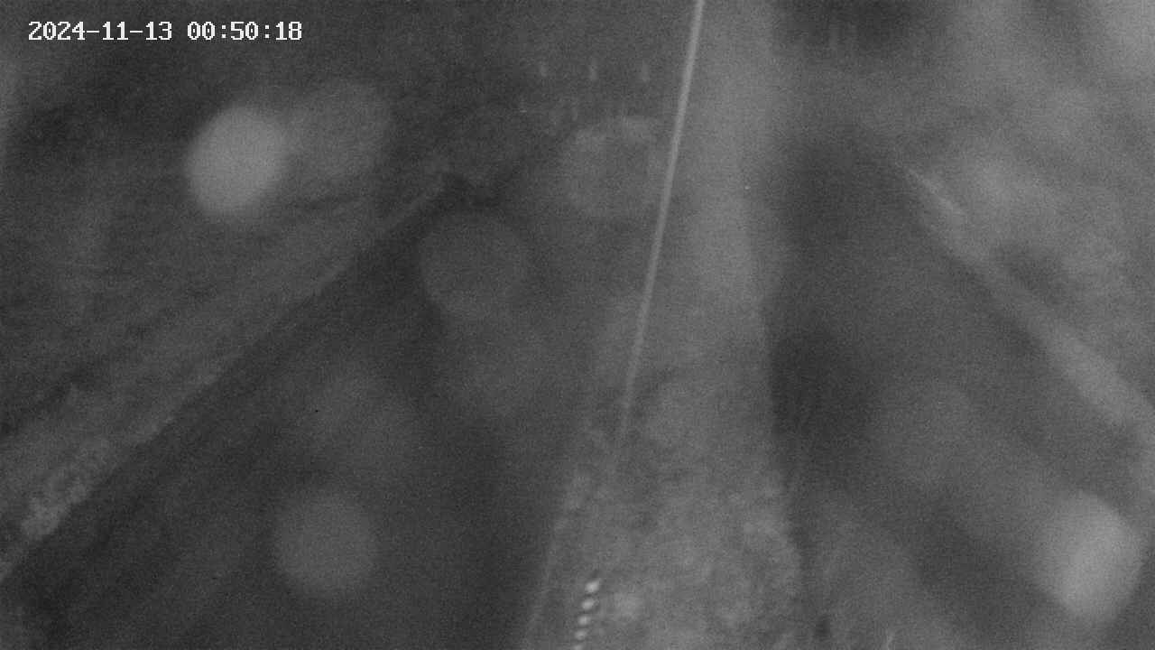 area9-20241113005019.jpg