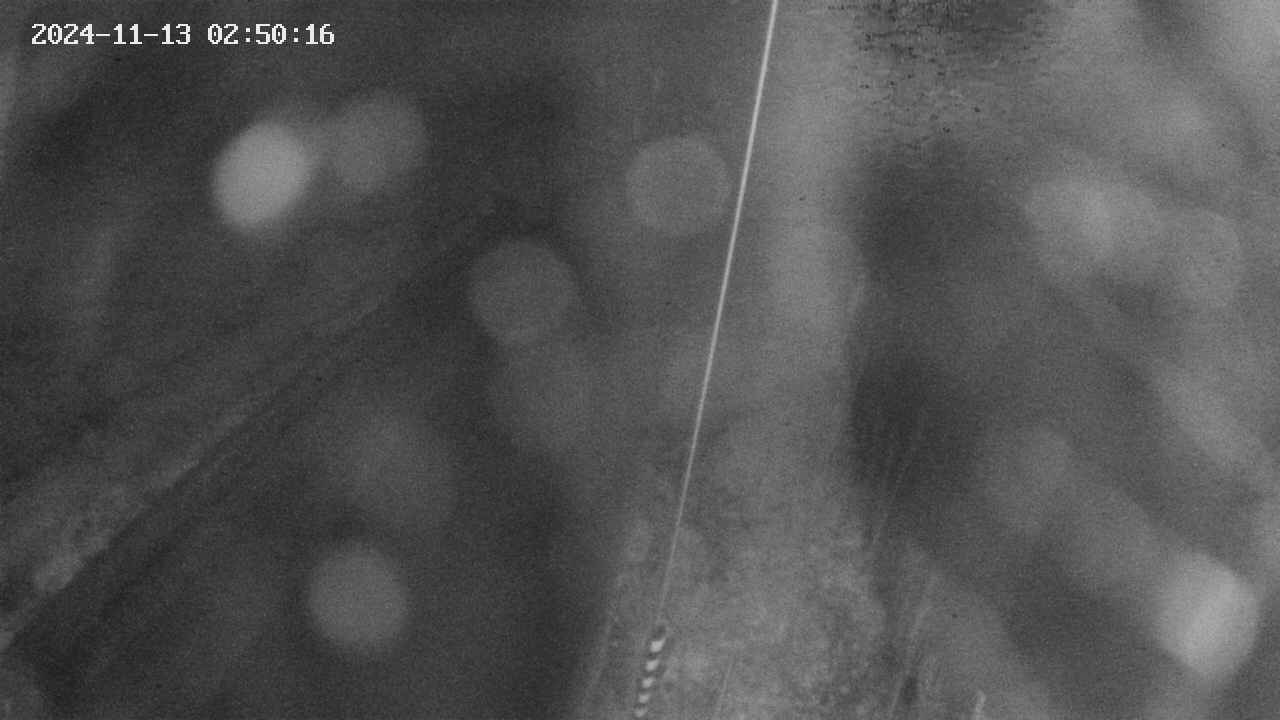 area9-20241113025018.jpg
