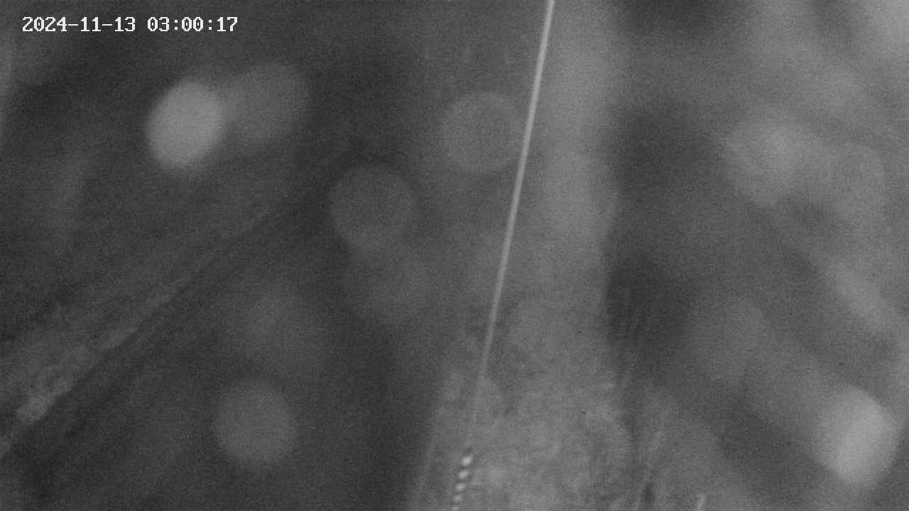 area9-20241113030018.jpg