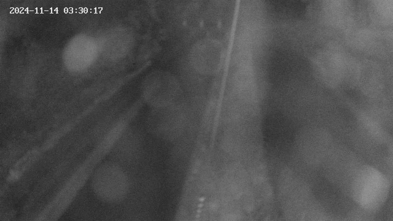 area9-20241114033019.jpg