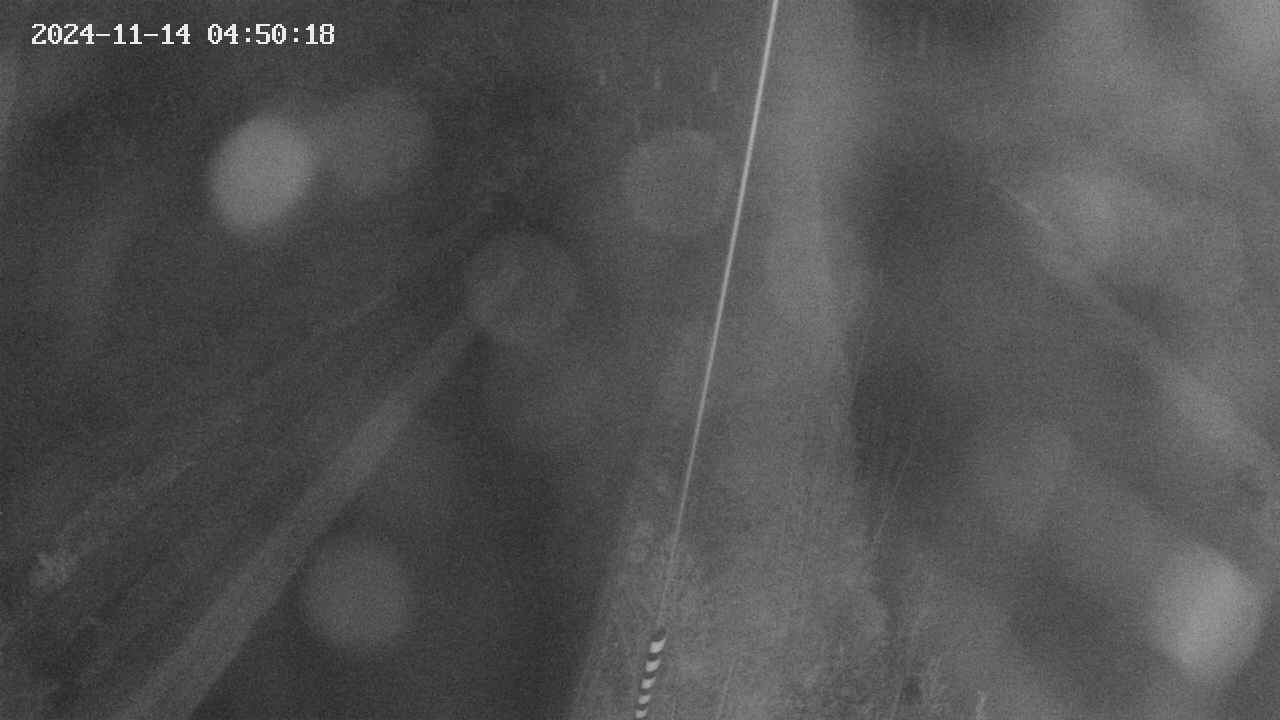 area9-20241114045019.jpg
