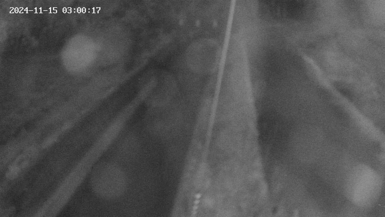 area9-20241115030018.jpg