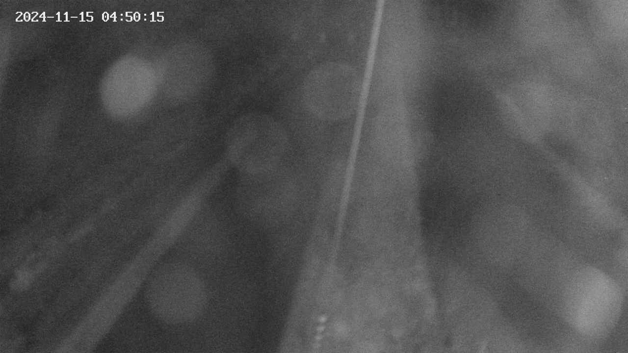 area9-20241115045017.jpg