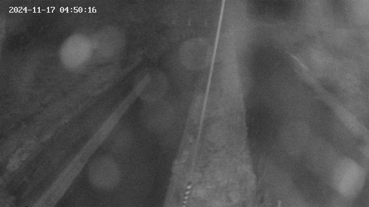 area9-20241117045018.jpg