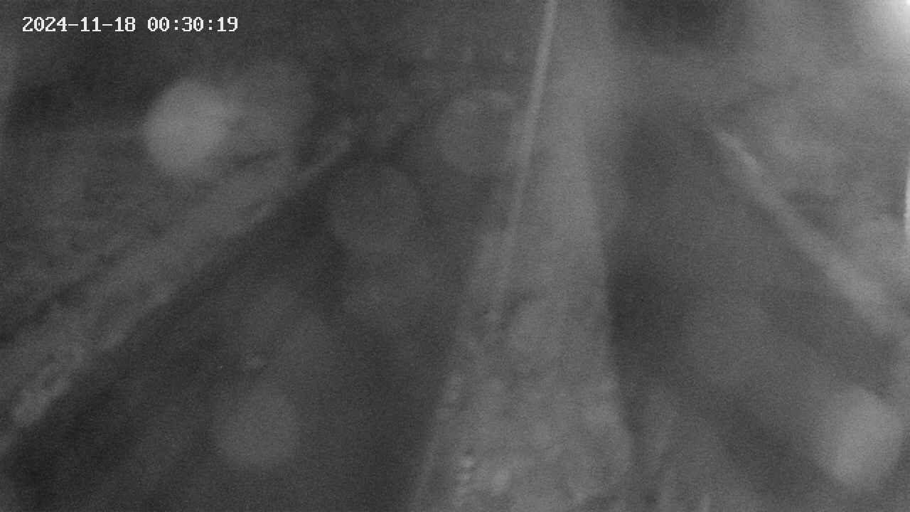 area9-20241118003020.jpg