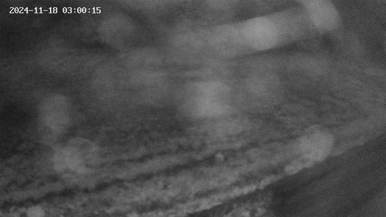 area9-20241118030017.jpg