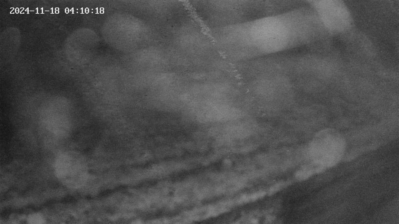 area9-20241118041018.jpg